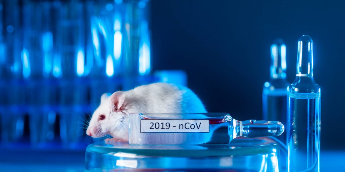 Soareci de laborator in cadrul protocolului de tratament “COVID-19”?