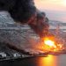Fukushima Daiichi – Cutremur, Tsunami, Contaminare, Pandemie