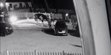 Radiografia Cancerului Judiciar